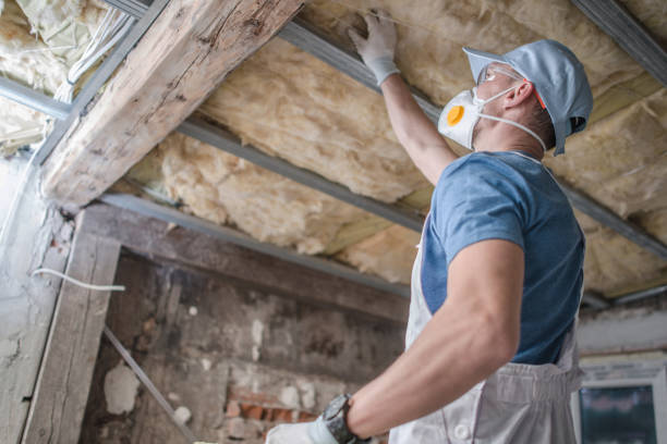 Types of Insulation We Offer in Maynardville, TN