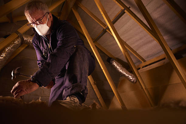 Best DIY Insulation Kits and Guidance in Maynardville, TN